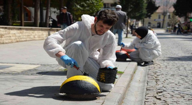 Zübeyde Hanım Caddesi uğur böcekleriyle donatılıyor