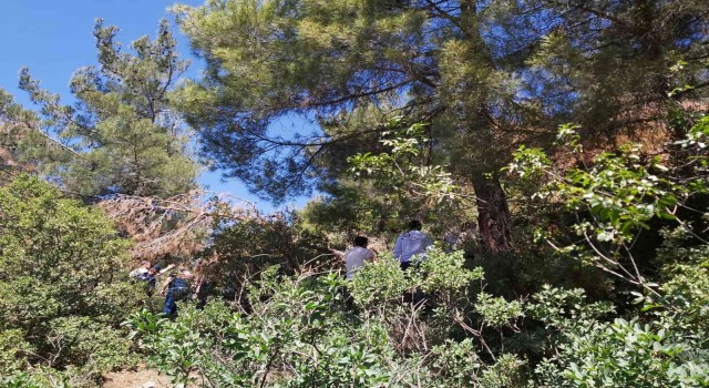 1 aydır kayıptı, ağaçta asılı bulundu