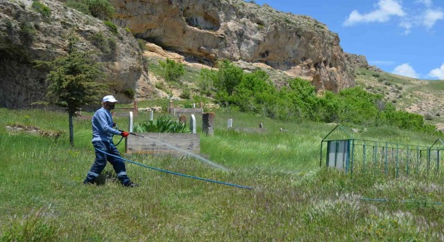 Adilcevaz Belediyesi ekipleri mezarlıklarda ilaçlama yaptı