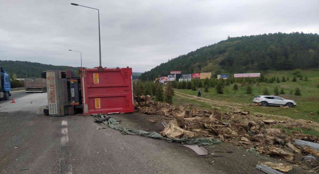 Ağaç kökü yüklü tır devrildi, sürücüsü yaralandı