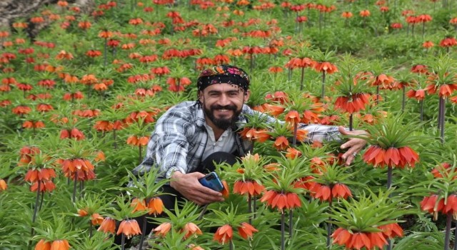 ‘Ağlayan Gelinlerden görsel şölen