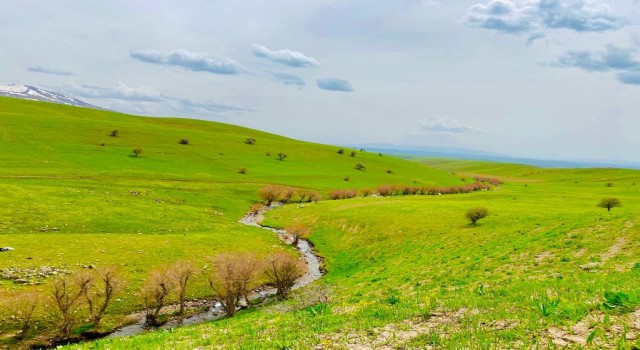 Ağrıda yeniden canlanan doğa büyülüyor