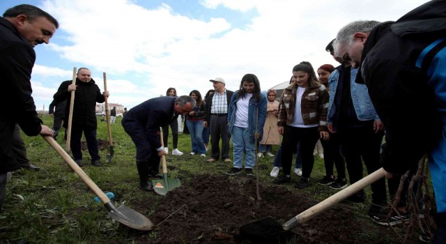 AİÇÜde fidanlar meyve vermesi için toprakla buluşturuldu