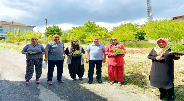 Akçadağda 100 bin sebze fidesi dağıtıldı