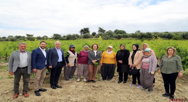 Akdeniz Belediyesi, çiftçilere verimli gübre kullanımı semineri başlatıyor