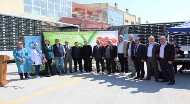 Akyurtta 1 milyon sebze fidesi dağıtıldı
