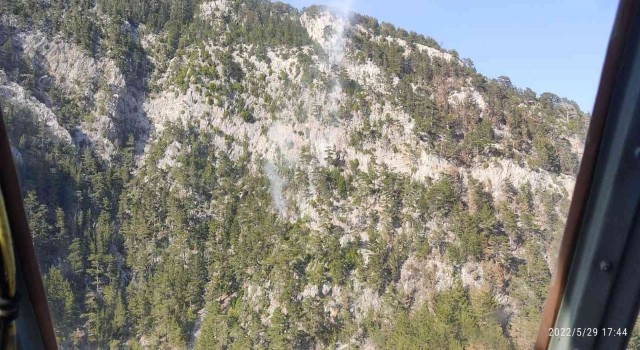 Alanyada orman yangını