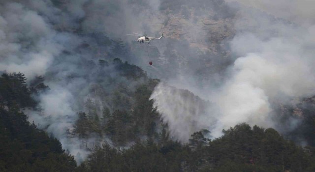 Alanyadaki yangına helikopter, 200 işçi ve 22 arazözle müdahale ediliyor