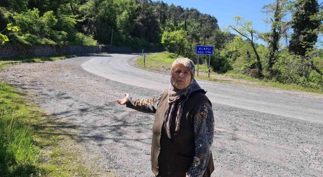Alaplıda vatandaşlar caddenin aydınlatılmasını talep ediyor