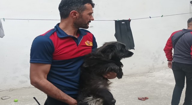 Alevler arasında kalan köpek son anda kurtarıldı