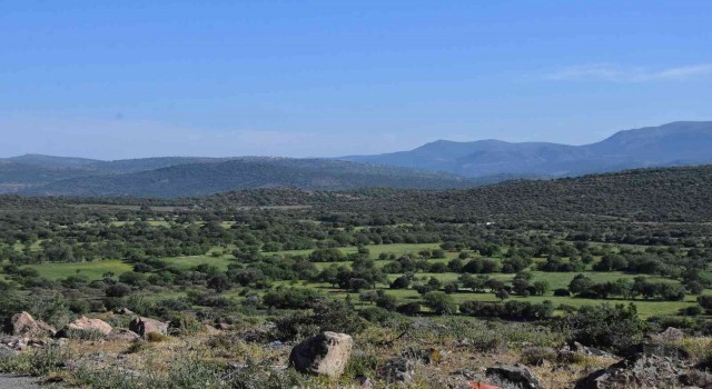 Aliağa Kalabak Mahallesinde bin dönümlük arazi suya kavuşacağı günü bekliyor
