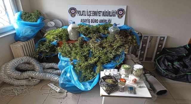 Ankarada evinin balkonunda esrar yetiştiren şüpheli gözaltına alındı