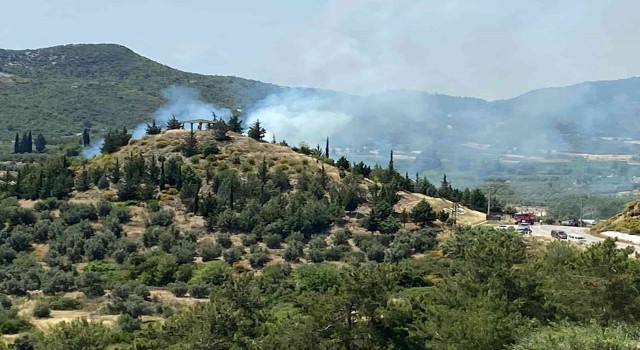 Antalyada orman yangını büyümeden söndürüldü