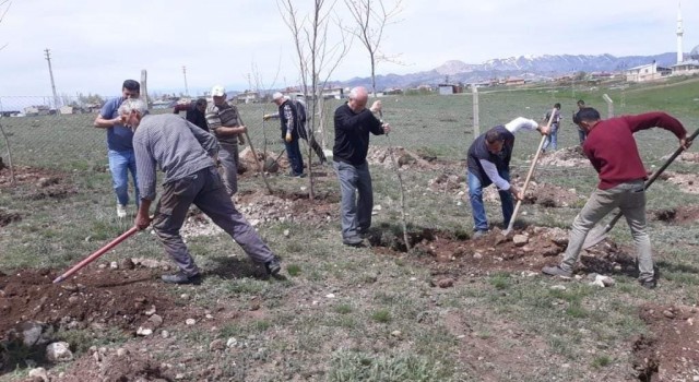 Aşkalede 3 bin fidan toprakla buluştu