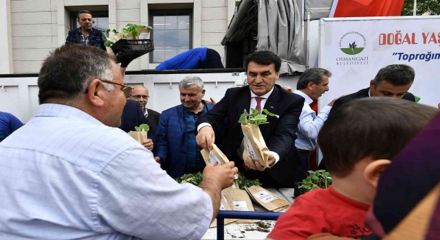 Ata tohumları geleceğe taşınıyor