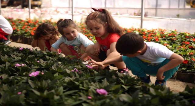 Aydın Büyükşehir Belediyesi minikleri fidanlıkta misafir etti