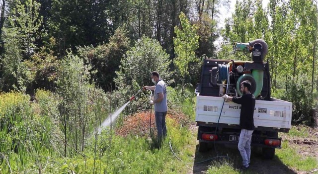Bahar geldi ilaçlama hızlandı