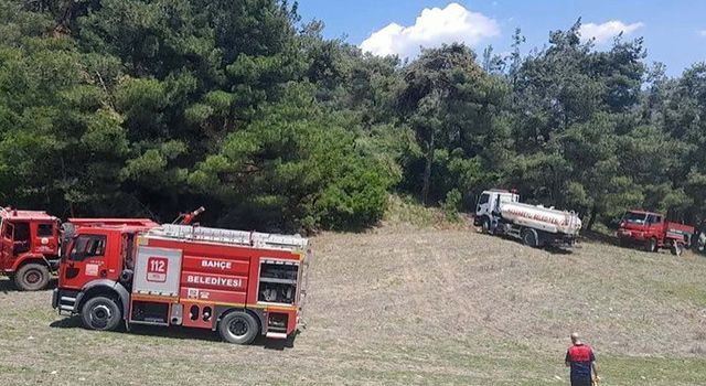 Bahçe İlçesi’ndeki orman yangınında 5 dekar alan zarar gördü