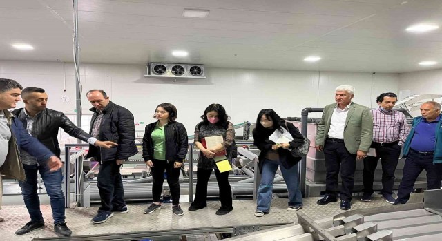 BAİBden Güney Koreye kiraz ihracatı çalışmaları