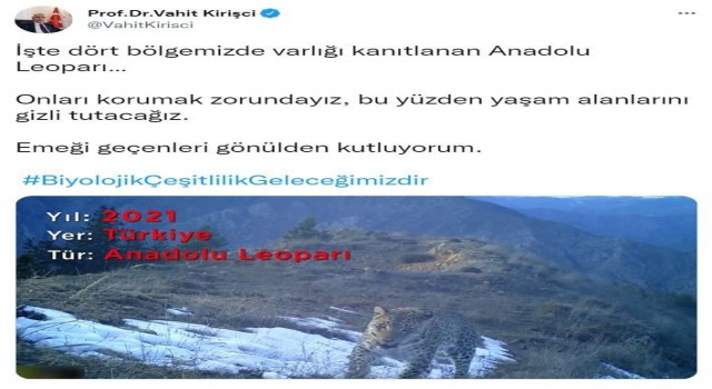 Bakan Kirişciden Anadolu Leoparı paylaşımı