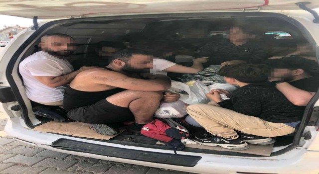 Balık istifi kaçış planını polisler bozdu