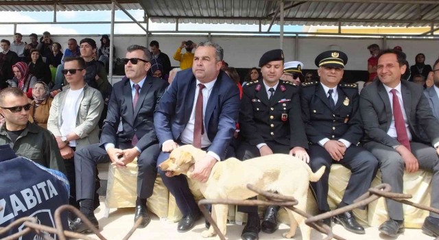 Balıkesirde 19 Mayıs törenlerinde protokol tribününe çıkan köpek ilginç görüntüler oluşturdu