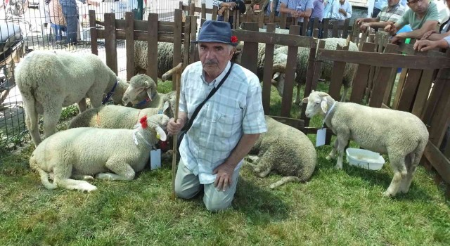 Balıkesirde Bahar Şenliğinde kuzu ve oğlaklar yarıştı