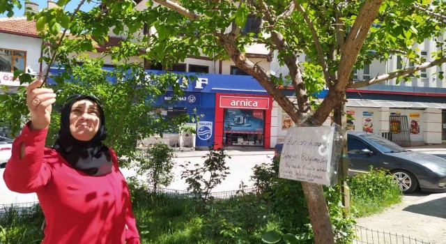 Balıklı Caddesi esnaflarından Olgunlaşmadan koparmayın uyarısı