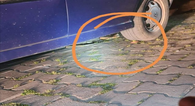 Bandırmada yılan paniği