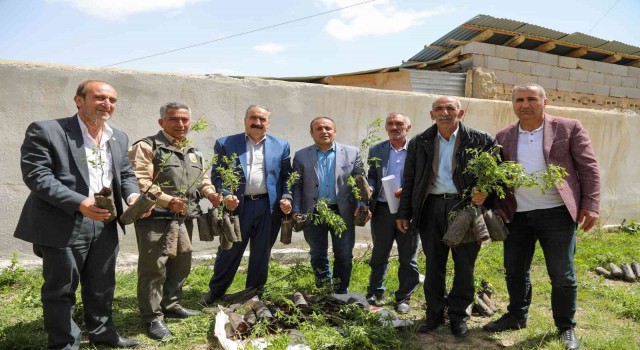 Başkalede 4 bin badem fidanı dağıtıldı