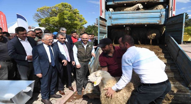 Başkan Büyükkılıç, 13 milyon TLlik projede 3 bin 200 adet küçükbaş hayvan dağıttı