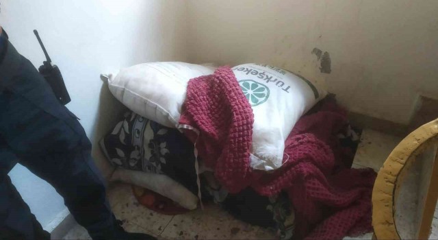 Batmanda şeker hırsızları yakalandı
