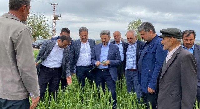 Besnide 35 bin dekar alan doludan etkilendi