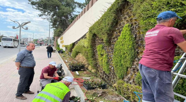 Bilecik Belediyesi Dikey Bahçede bakım ve yenileme çalışmaları yapıldı