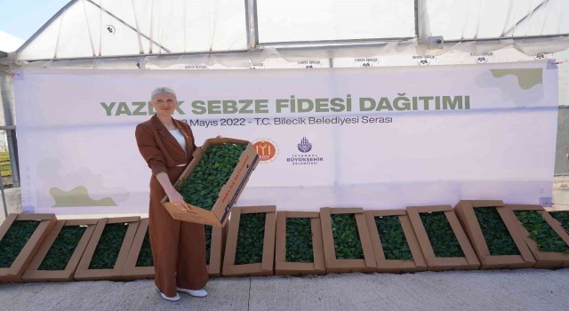 Bilecikte çiftçilere 100 bin domates, biber, karpuz ve patlıcan fidesi dağıtıldı