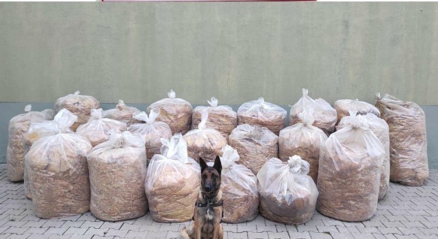 Bingölde 850 kilo yaprak tütünü ele geçirildi