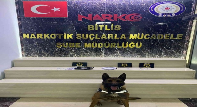 Bitliste uyuşturucu operasyonu: 9 gözaltı