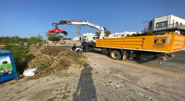 Bodrumda hummalı bayram temizliği