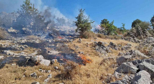 Bodrumda otluk ve makilik alanda yangın
