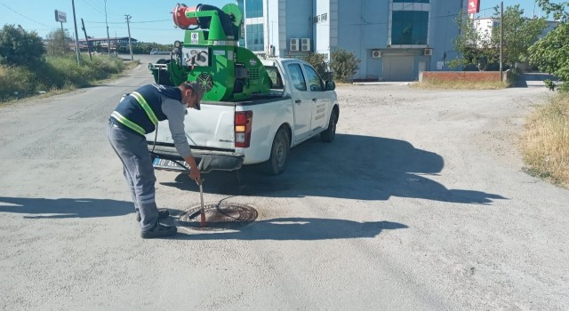 Burhaniye de sinek mücadelesi