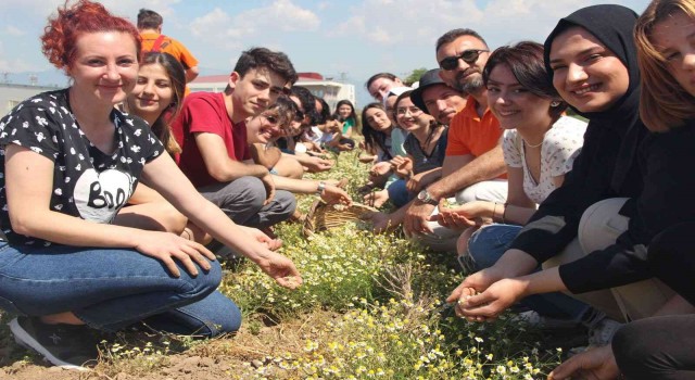 Burhaniyede GastroBaçem projesi hayata geçirildi
