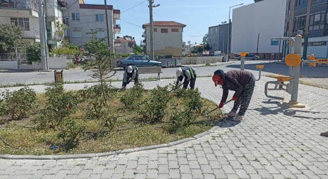 Burhaniyede yabani otlar temizleniyor