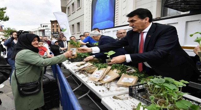 Bursada 12 meydanda 500 bin fide dağıtıldı