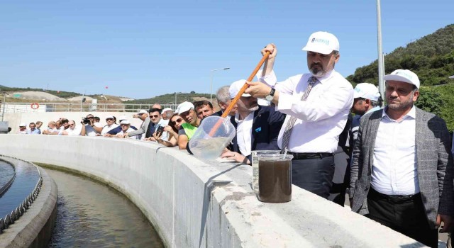 Bursada deniz suyu kalitesi artıyor