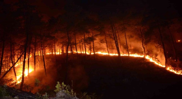 Bursada ormanlık alanlarda mangal yakmak yasaklandı