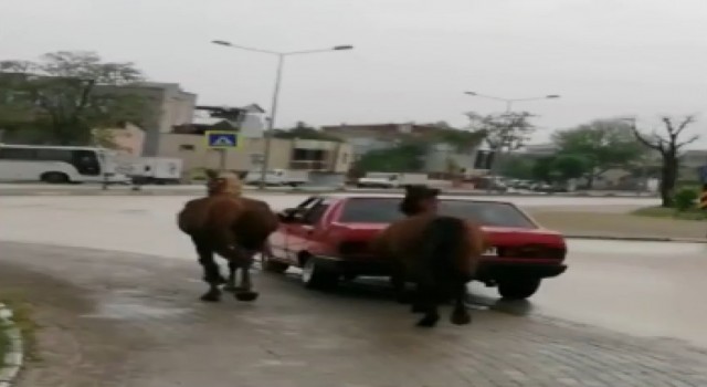 Bursada tepki çeken görüntü