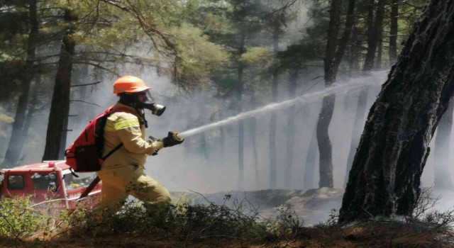 Büyük orman yangını tatbikatı Muğlada başladı