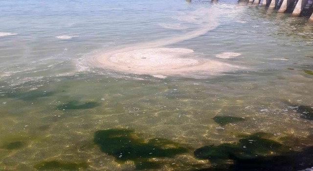 Büyükada açıklarında müsilaj benzeri kirlilik görüldü