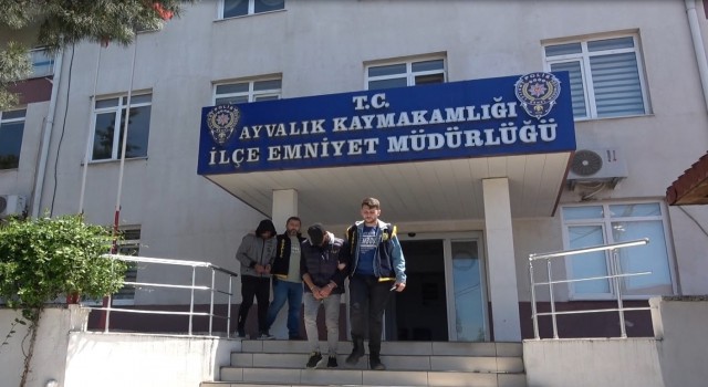 Çaldıkları 32 oğlağı bir otomobile sığdıran hırsızlar Ayvalık polisinden kaçamadı