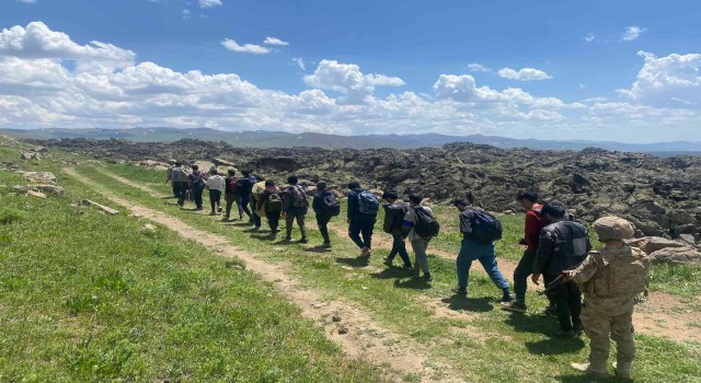 Çaldıranda 15 düzensiz göçmen yakalandı